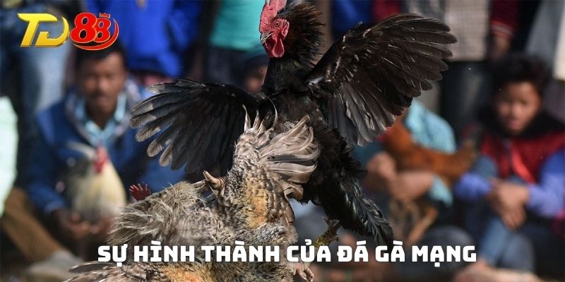 Sự hình thành của hình thức giải trí trực tuyến