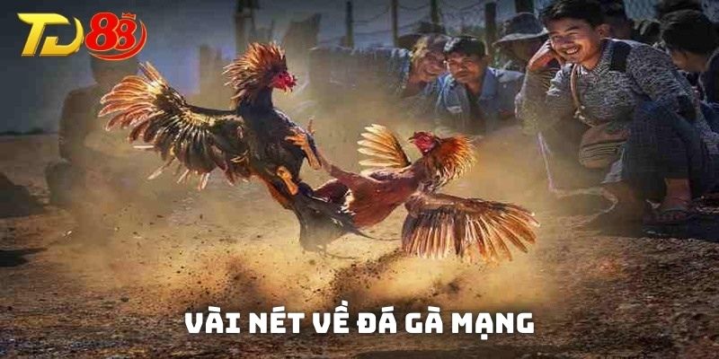 Vài nét cơ bản về hình thức đá gà mạng
