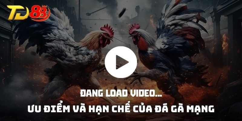 Ưu điểm và hạn chế của đá gà mạng
